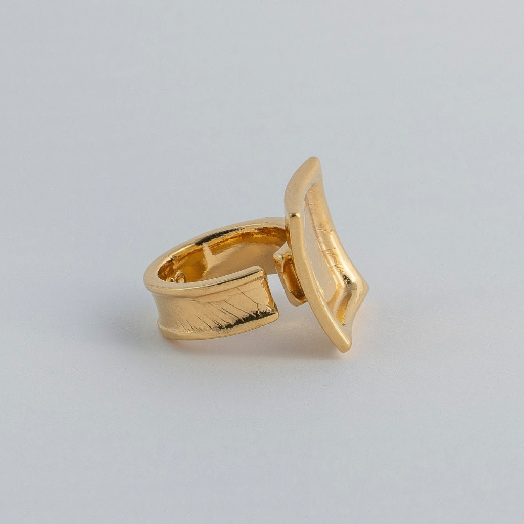 ANILLO TERRA GRID