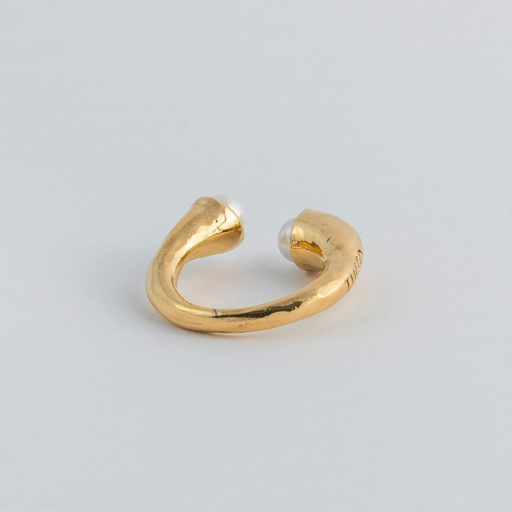 ANILLO RAÍZ