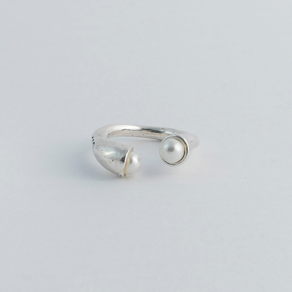 ANILLO RAÍZ