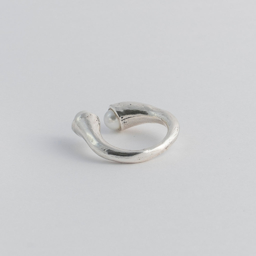 ANILLO RAÍZ